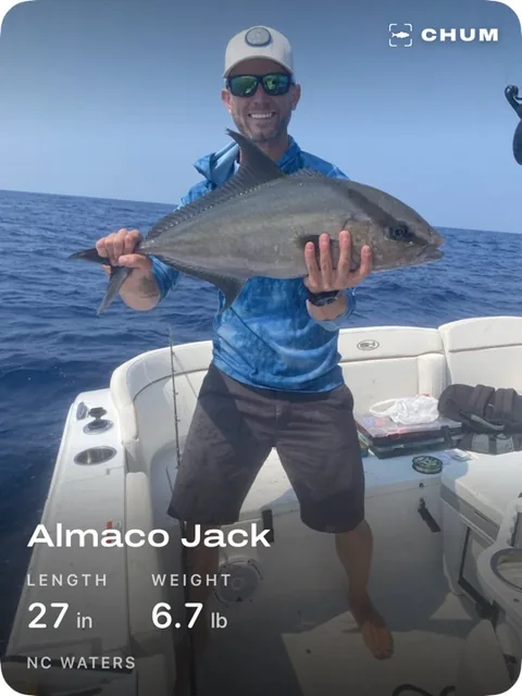 Catch card: almaco jack