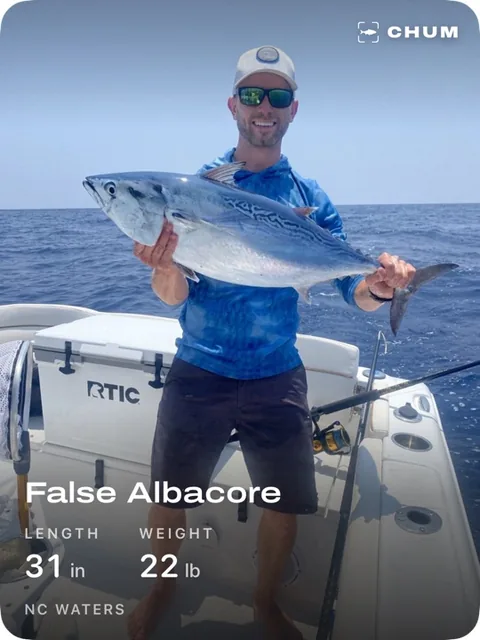 Catch card: false albacore