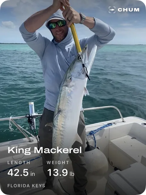 Catch card: king mackerel